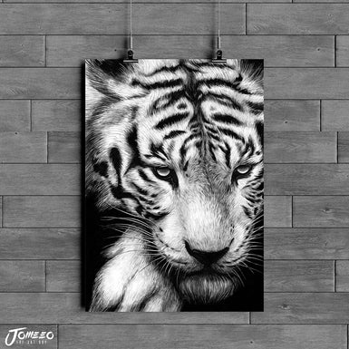 White Tiger - A4/A3/A2 Art Print
