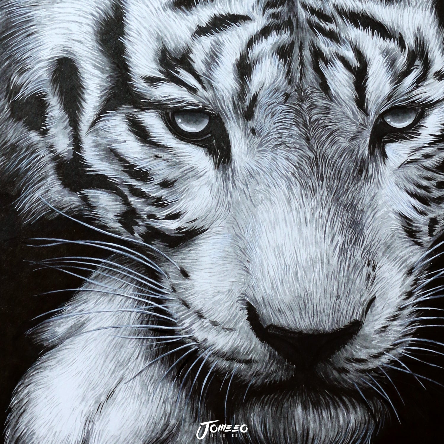 white tiger drawing